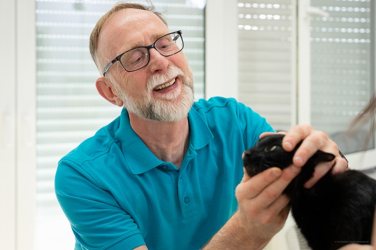 Tierarztpraxis Birke | Tierarzt mit Katze